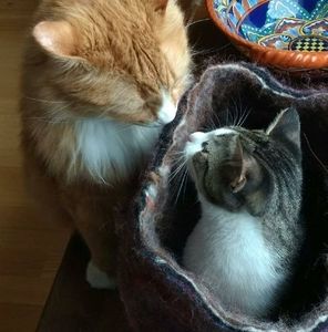 Meet your Posher, Alyson